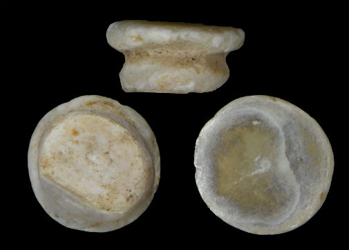 Prehistoric shell ornaments made with freshwater mother-of-pearl. Image credit: Jérôme Thomas (University of Burgundy-Franche-Comté).